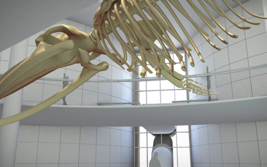 The Natural History Museum of Iceland